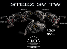 Катушка Daiwa Steez SV TW 1016SV-HL